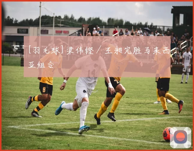 [羽毛球]梁伟铿／王昶完胜马来西亚组合
