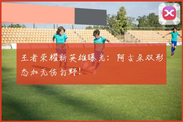 王者荣耀新英雄曝光：阿古朵双形态加无伤打野！