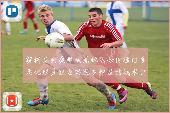 解析亚利桑那响尾蛇队如何通过多元化球员组合实现多维度的战术打击