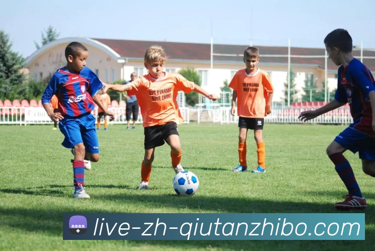 球探体育平台生态图